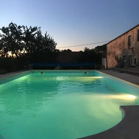 Maison Mard'or Plume