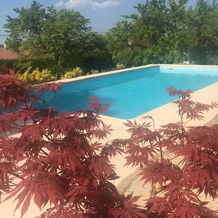 Bed & Breakfast Maison Mard'or Plume Mardor