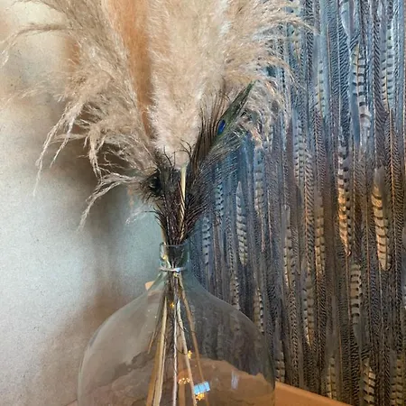 Bed and Breakfast Maison Mard'or Plume