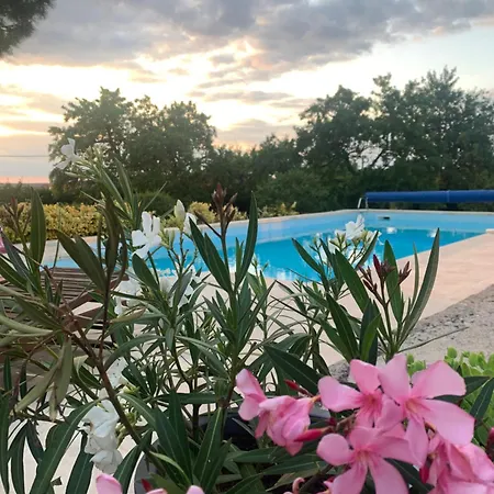 Maison Mard'or Plume 3*