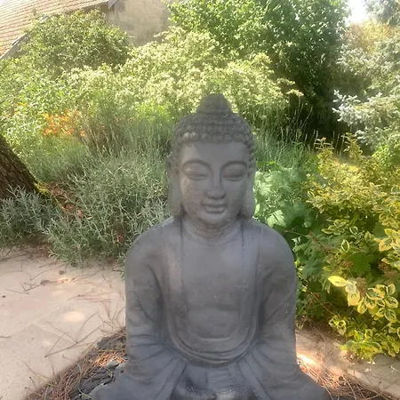 Bed and Breakfast Maison Mard'or Plume