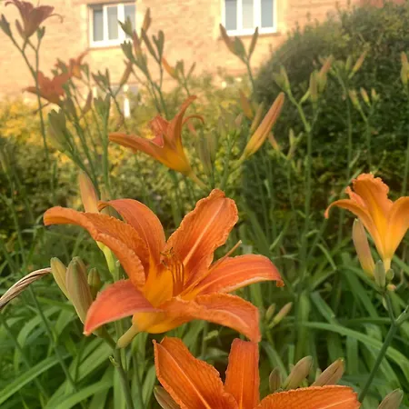 住宿加早餐酒店 Maison Mard'or Plume 3*